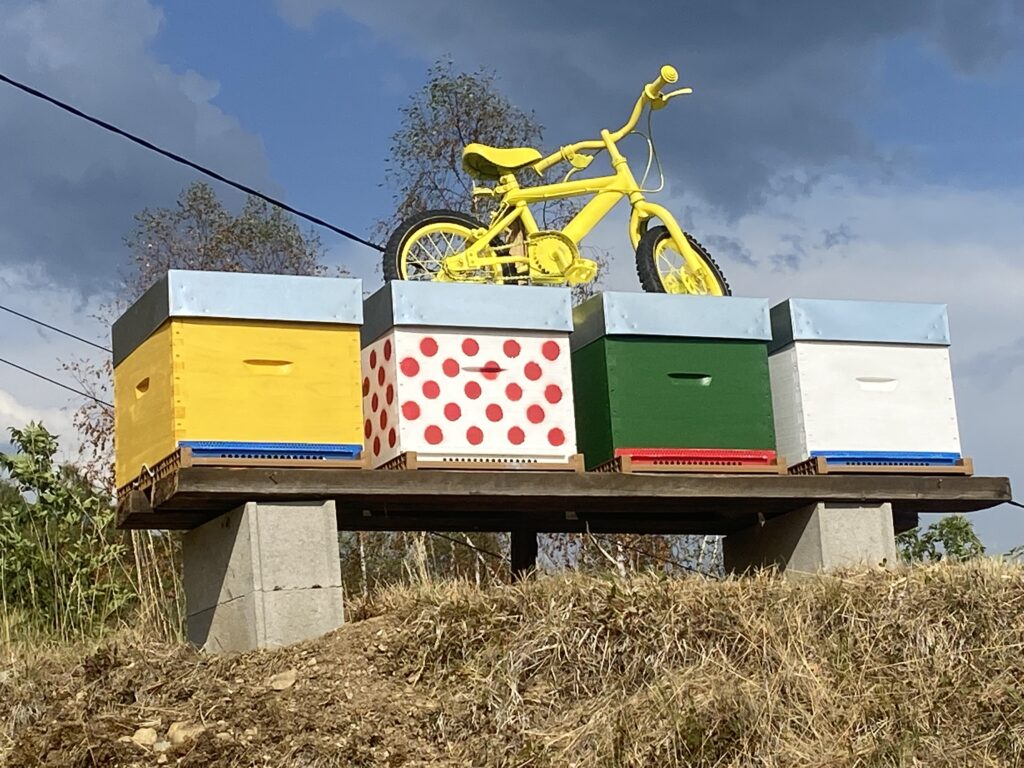 Tour de France féminin 2026 à Longchaumois