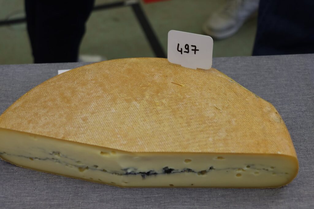 morbier img 0161