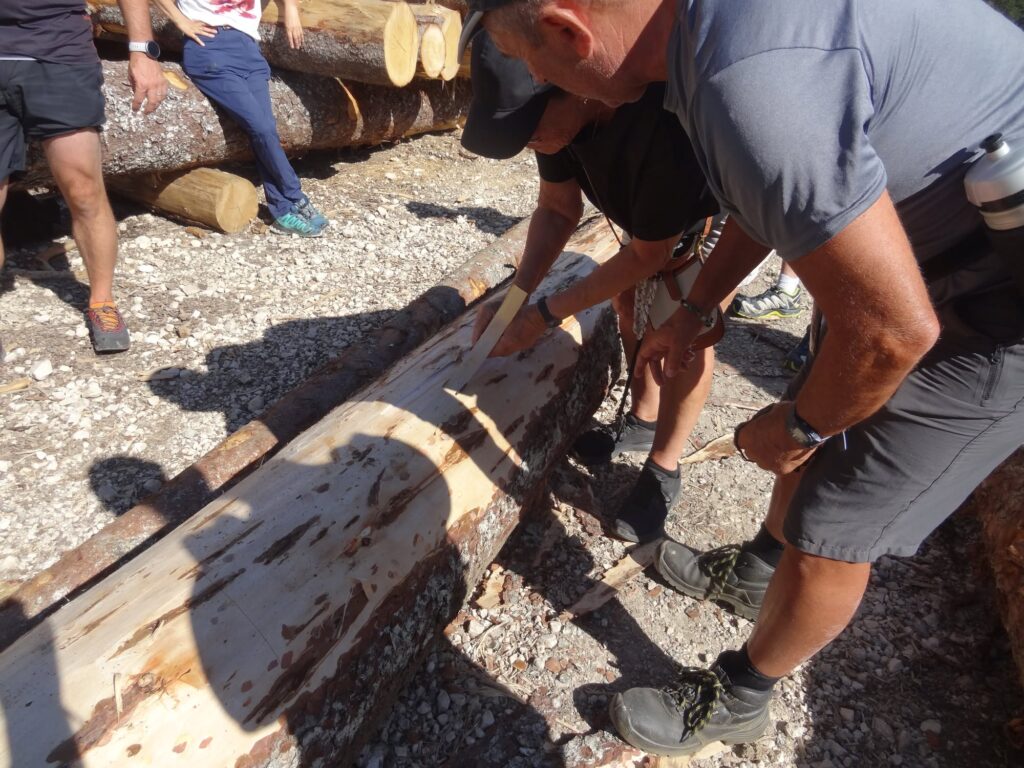 bois d'amont atelier sanglier
