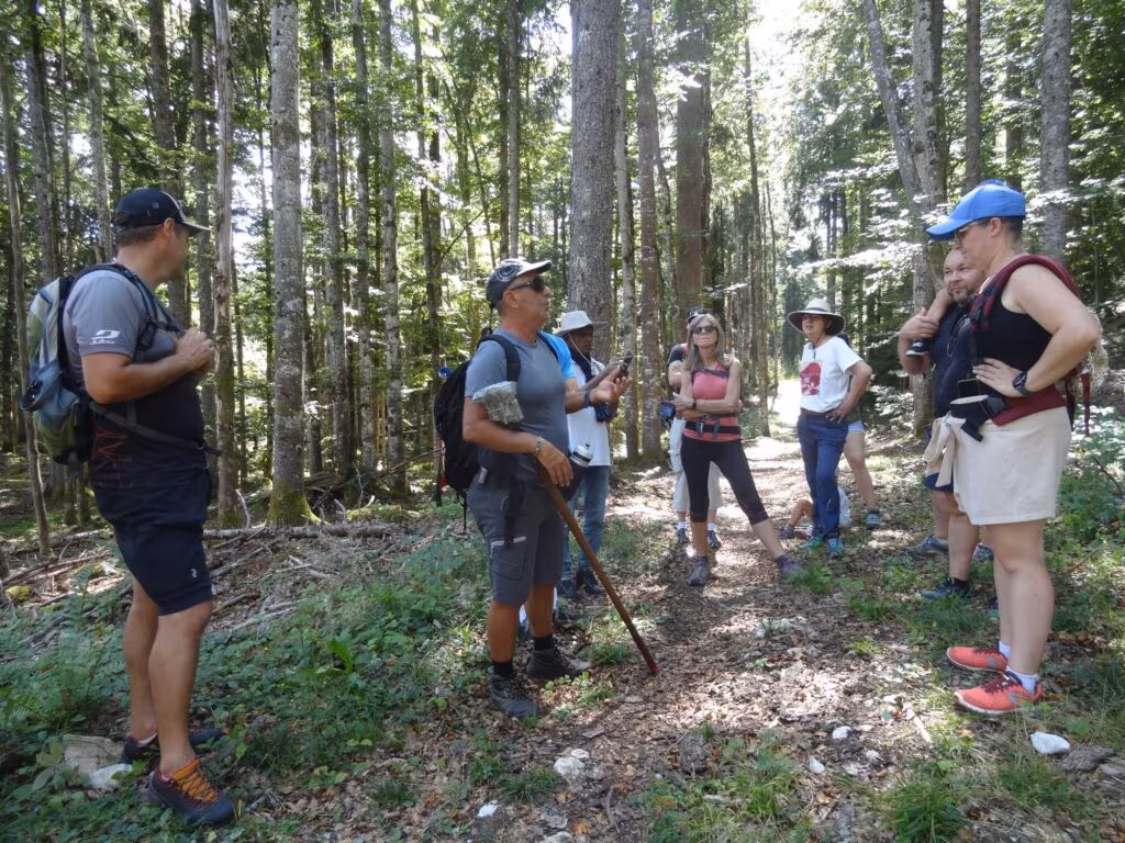 Balade forestière et atelier sanglier